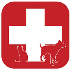 eVet24.net - Emergency Veterinary Clinic - Open 24-Hours